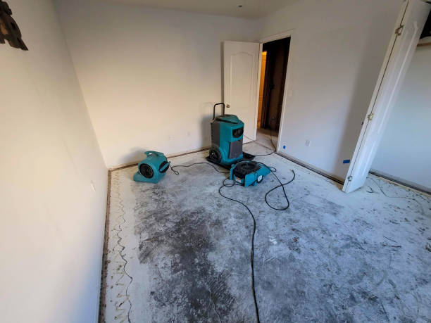 Best Flood restoration services  in Pleasant Ridge, MI