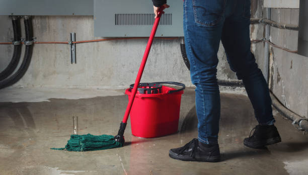 Best Ceiling water damage repair  in Pleasant Ridge, MI
