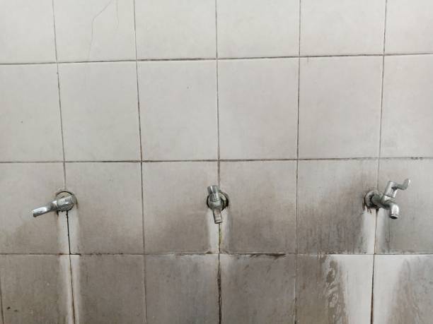 Best Local water damage restoration  in Pleasant Ridge, MI