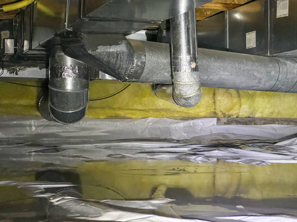 Best Flood restoration services  in Pleasant Ridge, MI