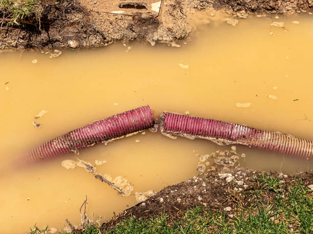 Best Water damage restoration company  in Pleasant Ridge, MI